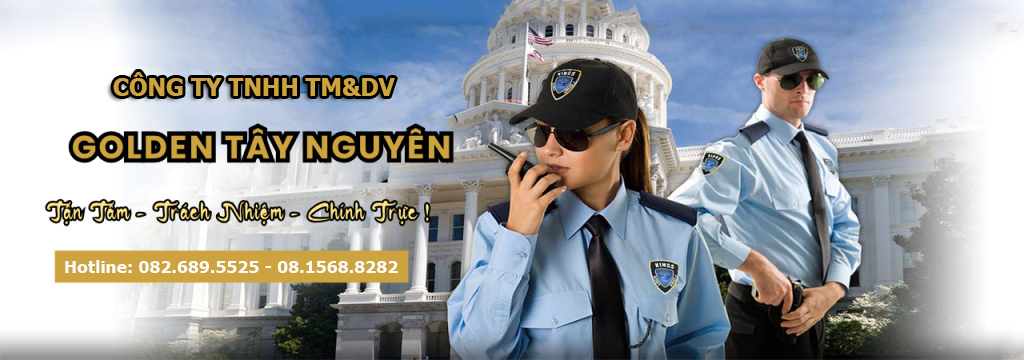 BN6-1024x360